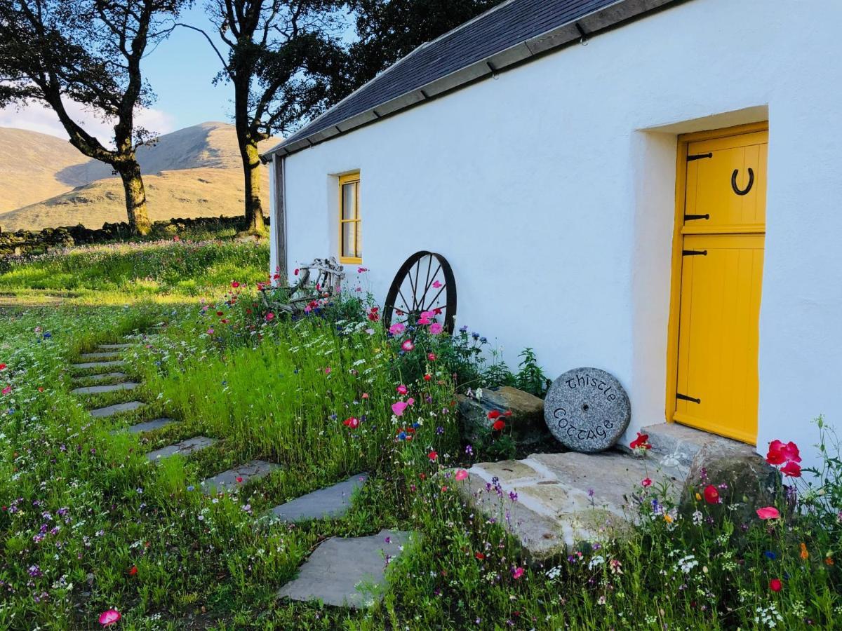 Thistle Thatch Cottage And Hot Tub - Mourne Mountains Ньюкасл Екстер'єр фото