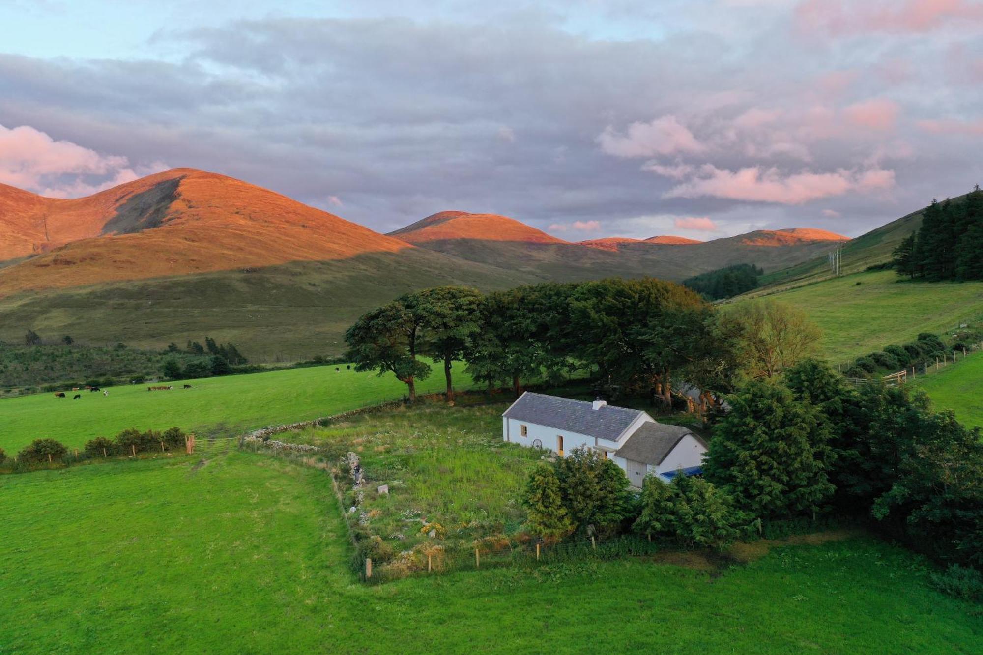 Thistle Thatch Cottage And Hot Tub - Mourne Mountains Ньюкасл Екстер'єр фото