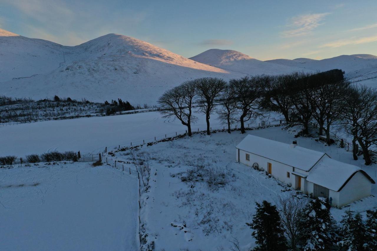 Thistle Thatch Cottage And Hot Tub - Mourne Mountains Ньюкасл Екстер'єр фото