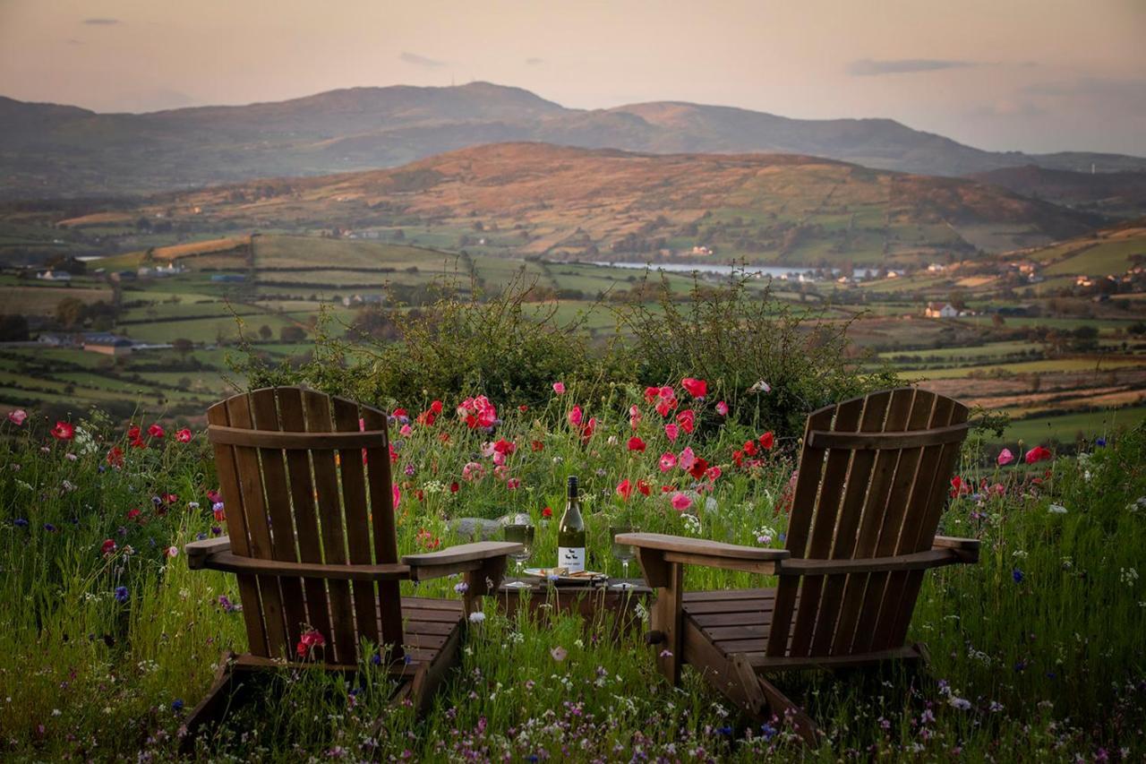 Thistle Thatch Cottage And Hot Tub - Mourne Mountains Ньюкасл Екстер'єр фото