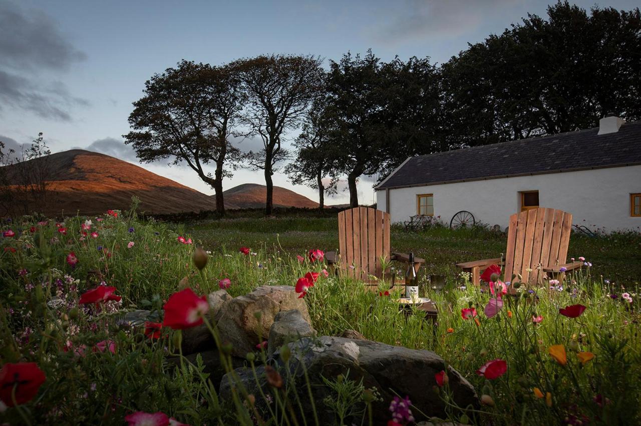 Thistle Thatch Cottage And Hot Tub - Mourne Mountains Ньюкасл Екстер'єр фото