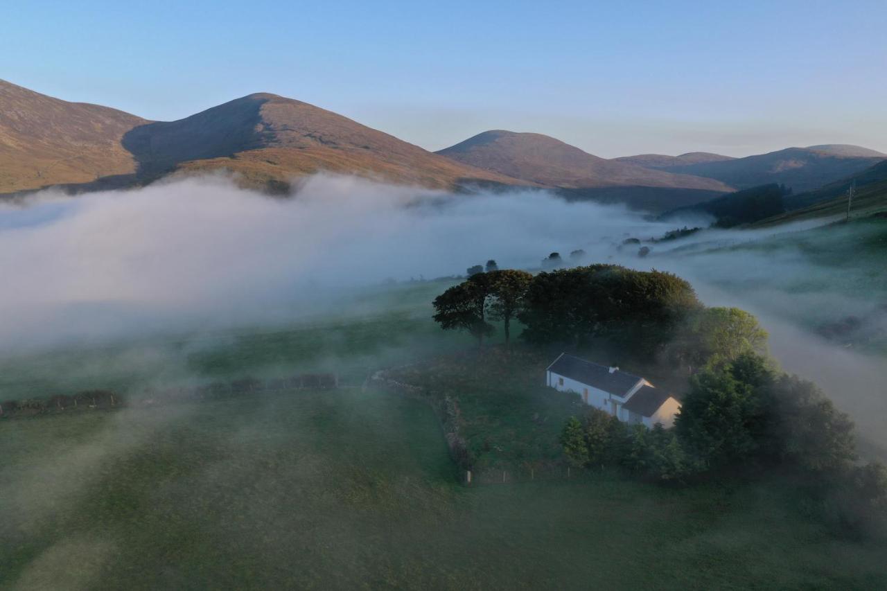 Thistle Thatch Cottage And Hot Tub - Mourne Mountains Ньюкасл Екстер'єр фото